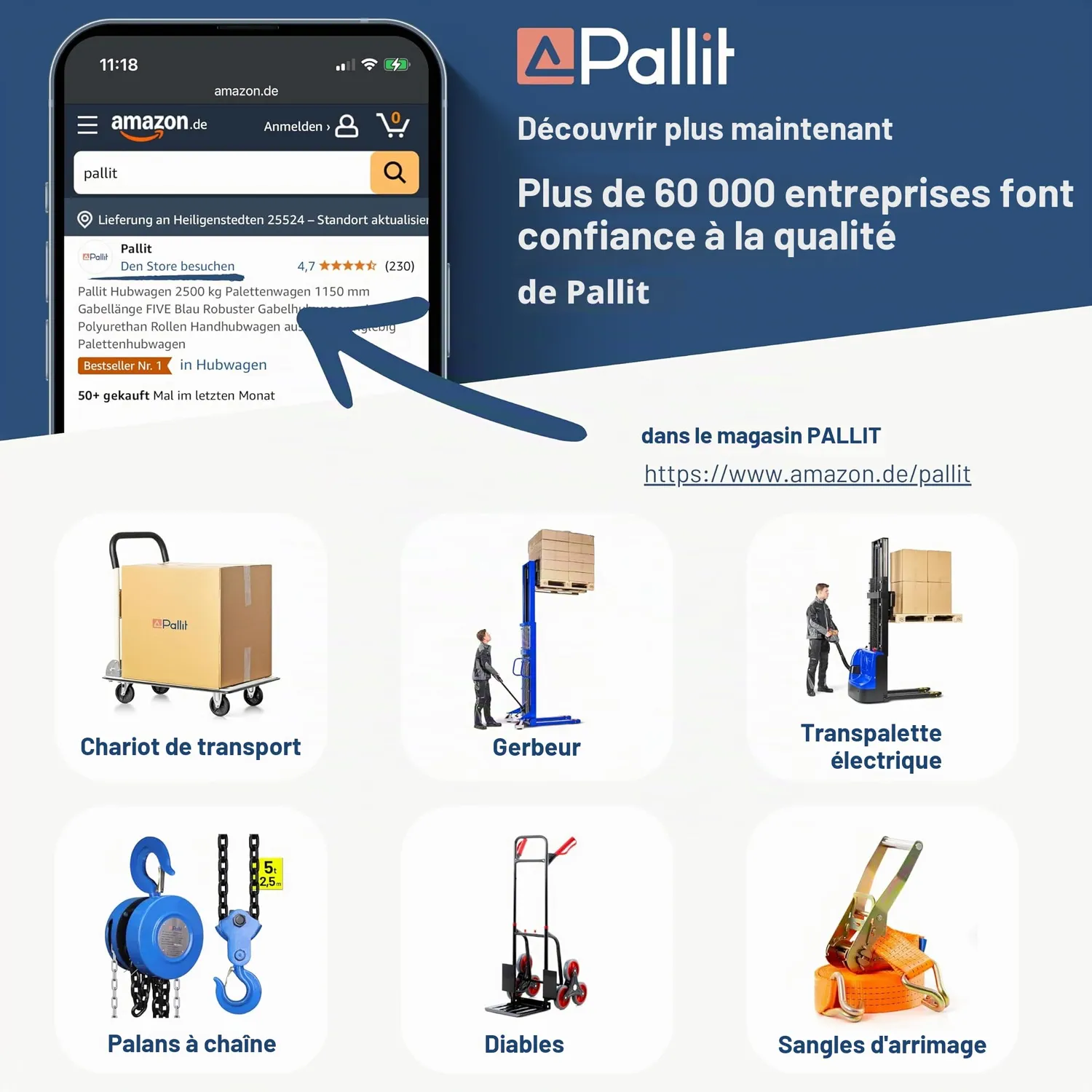 Pallit support mural coffre de toit pivotant double 40 kg