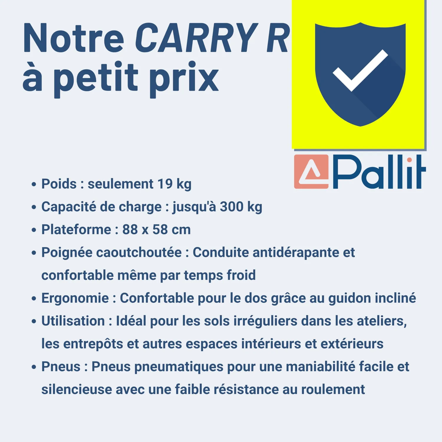 Pallit Carry-R chariot transport 300 kg 880x580 mm