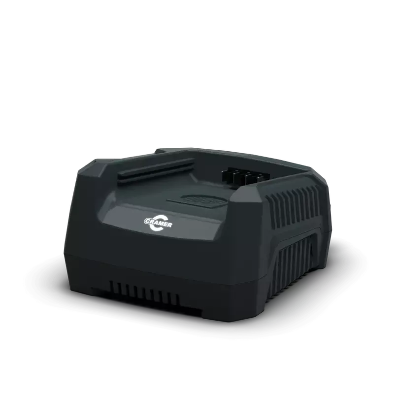 Portable Winch PCA-0231 chargeur rapide 82 V