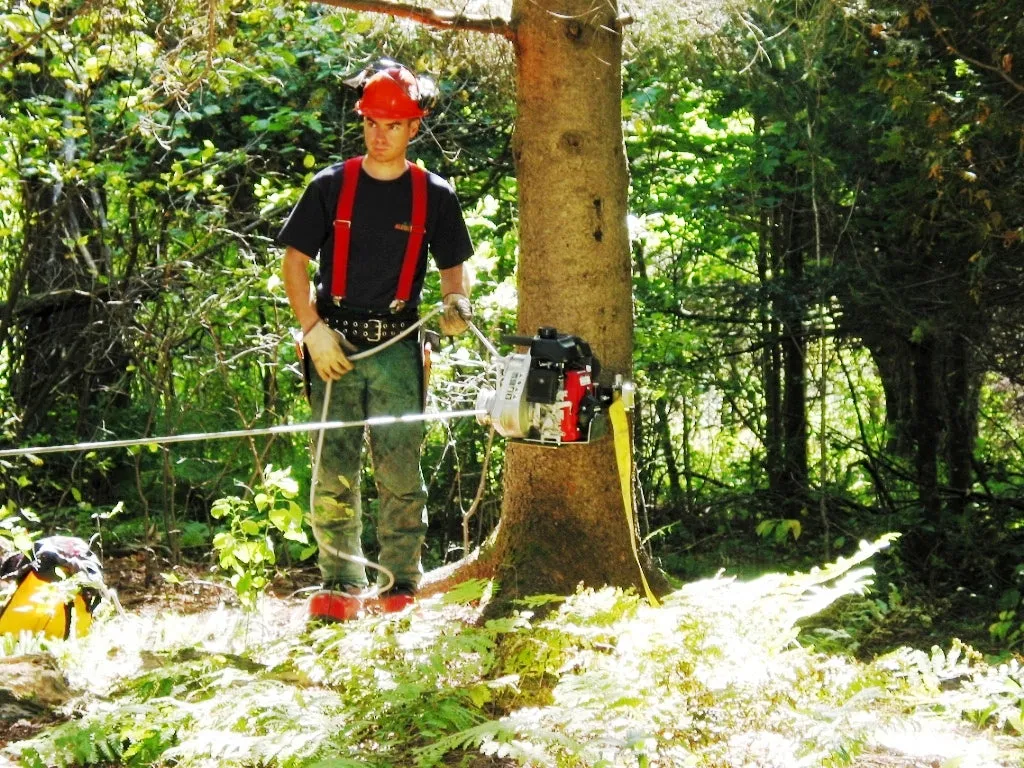 Portable Winch système ancrage arbre poteau treuil 7,2 kg
