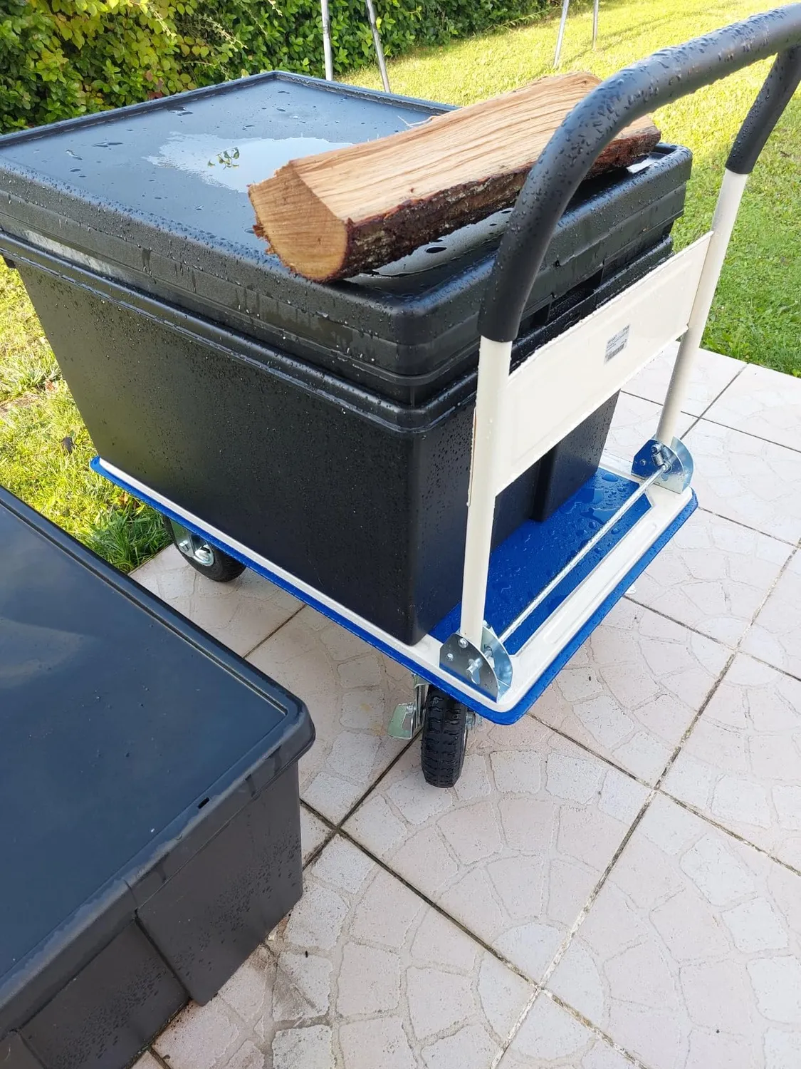 Pallit Carry-R chariot transport 300 kg 880x580 mm