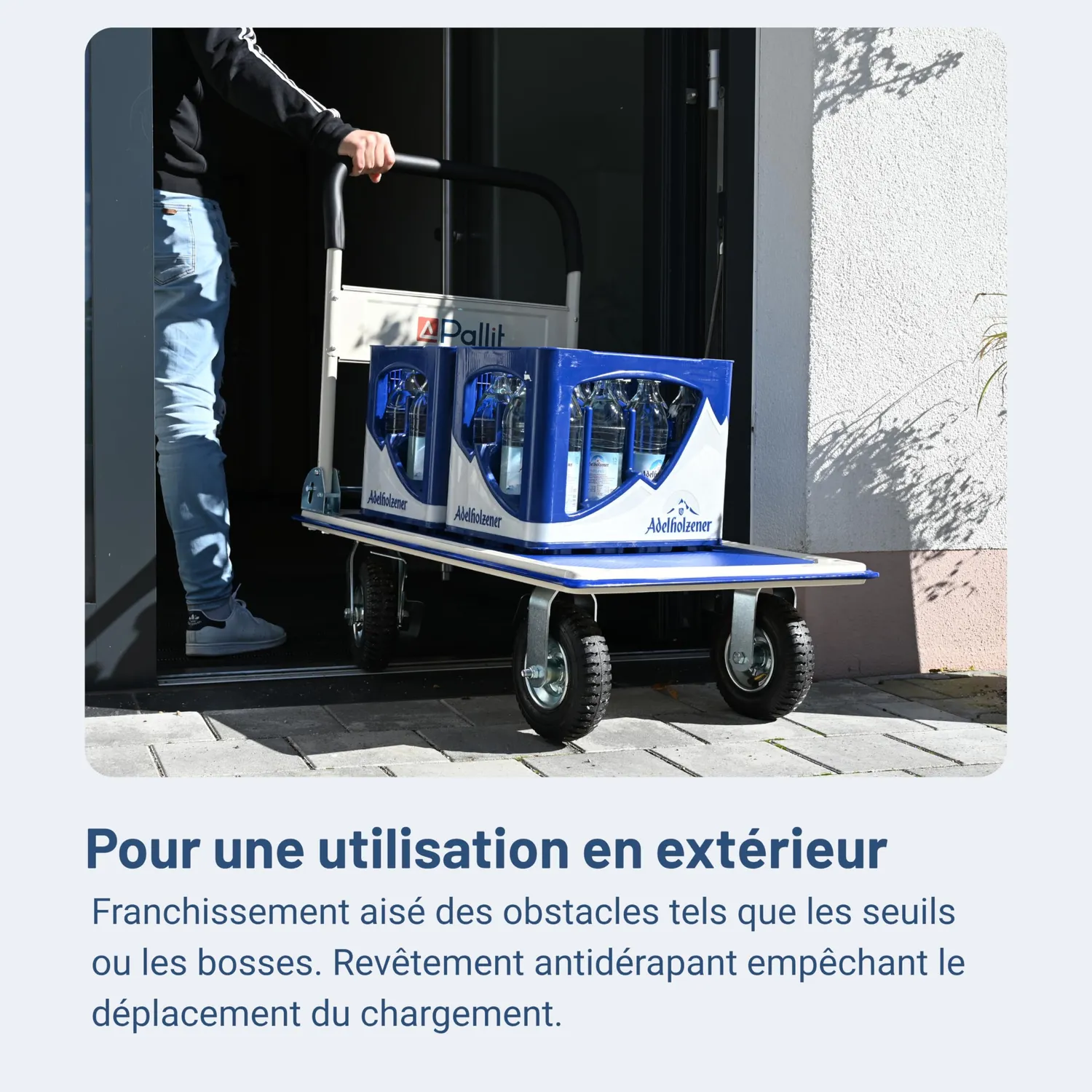 Pallit Carry-R chariot transport 300 kg 880x580 mm